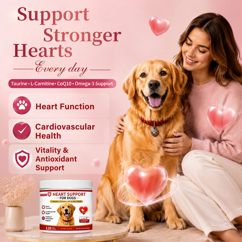 Taurine for Dogs, Heart Support Supplement, Antioxidant - Rich L-Taurine, L-Carnitine, EPA & DHA, CoQ10, Supports Cardiovascular Wellness, Circulation & Heart Function – 120 Chicken Flavour Soft Chews