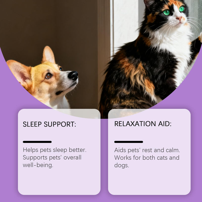 Melatonin for Dogs,Cats Soothing Liquid Sleep Support,Relaxation Aid,Natural Calming Drops for Separation,Thunder & Travel,Bacon Flavour (60ML) 60ML