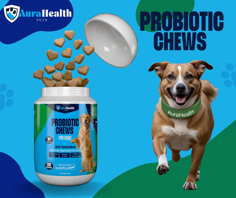 Probiotic 200 Chews up to 4-month supply for Small to Madium Dogs 16-in-1 Support Gut Health, Diarrhea & Allergies – 8 Billion CFUs, Prebiotics, Glutamine, Inulin, Omega-3, Chicken Flavour. 200 Chews - 2g