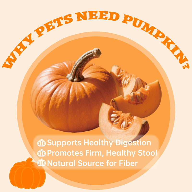 Wellix Pumpkin Powder for Dogs & Cats - Fiber Supplement, Digestion Support, Firms Stool, Dog & Cat Diarrhea, Constipation Relief, Gut Health - Food Topper for Dogs & Cats, Larger Volume - 200g