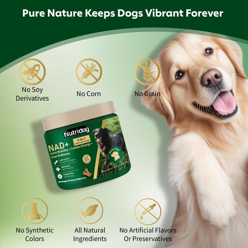 NMN Supplement for Dogs NAD+ Booster - Anti-Aging & Longevity Soft Chews for Senior Dogs with Resveratrol, CoQ10, Glucosamine & Omega-3-3-in-1 Cellular Energy, Joint & Skin Support Bacon 90Ct