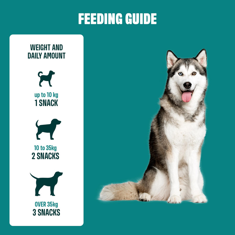 ivvi Sport – Functional Dog Snacks | With Protein, Ashwagandha, Collagen & Amino Acids | Supports Muscle Strength, Recovery & Vitality | 60 Soft Treats (270 g)