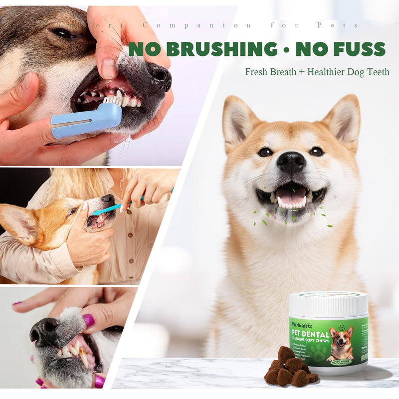60g Turkey Tail Mushroom for Dogs and 150PCS Dog Teeth Cleaning Chews
