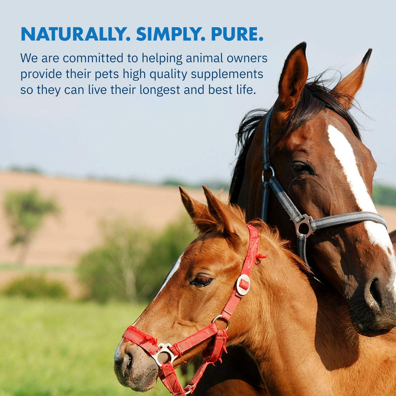 HealthyGut Foal Kit for Horses Dietary Supplement, All-Natural Formula (14 g) 1 Week - BeesActive Australia