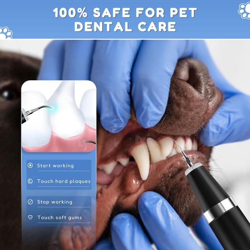 Ultrasonic tartar remover for dogs and cats, tooth cleaner for pets, dog tooth cleaning set, teeth cleaning and cleaning set. Fights tartar, bad breath and gum inflammation - BeesActive Australia