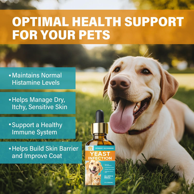 Yeast Infection Treatment for Dogs, Gentle Ear Infection Treatment & Allergy Relief for Dogs, Effectively Soothing Irritation & Itching Discomfort for All Breeds & Size - BeesActive Australia