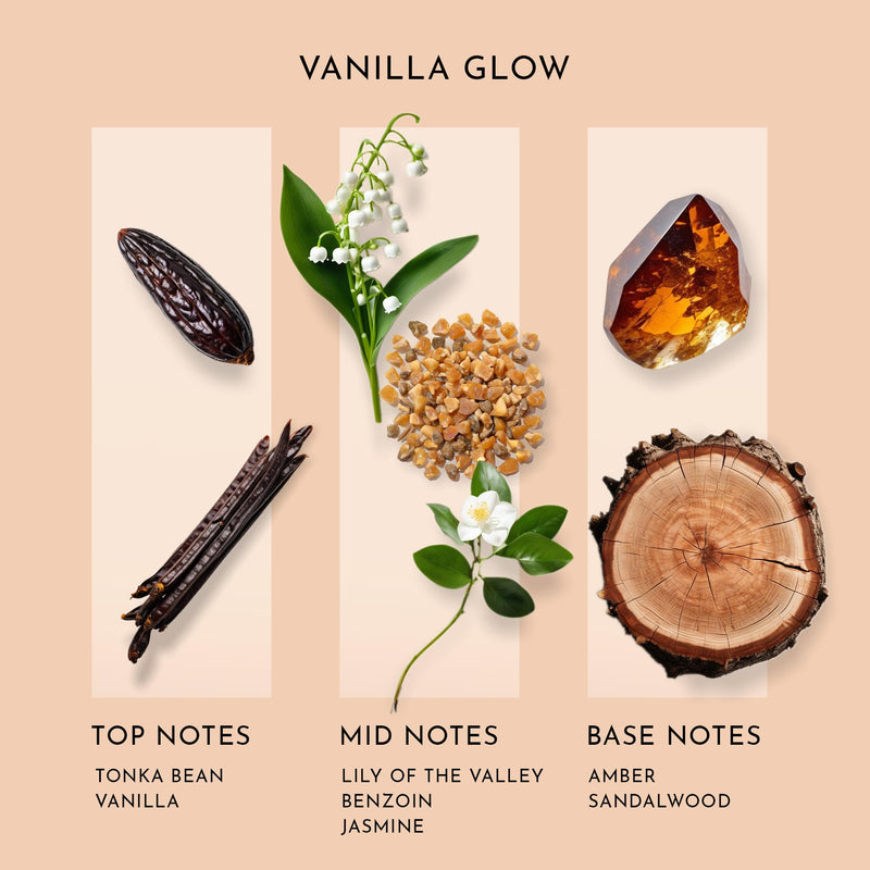 Scent Better Vanilla Glow Aroma Essential Oil Blend: an Aromatherapy Blend of Vanilla, Amber, and Sandalwood for Ultrasonic Diffusers & Nebulizers (2 Fl Oz, 60 mL) 2 Fl Oz (Pack of 1) - BeesActive Australia