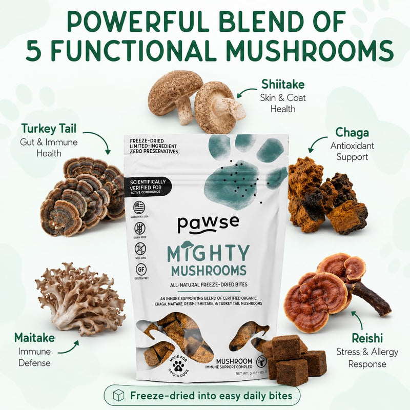 Pawse Mighty Mushroom Chews Supplement for Dogs & Cats | Blend of Turkey Tail, Reishi, Chaga, Maitake & Shiitake | for Immune System, Lumps & Bumps, Gut Health & Skin Support | 60 Chews
