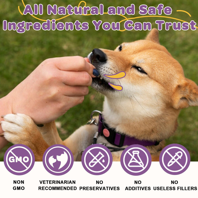 Probiotics for Dogs – 6 Billion CFUs & 10 Strains with Prebiotics, Omega-3, Digestive Enzymes & Multivitamins, Dog Probiotics for Digestive Health, Immune Support, Skin & Coat, 120 Duck Flavor Chews