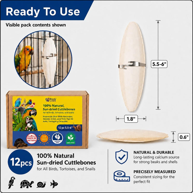 Birds LOVE 3.5-4″ Cuttlebone for Birds – 100% Natural Sun-Dried Calcium Carbonate Mineral Supplement – for Parakeets, Budgies, Cockatiels, Finches & Canaries – 12 Pack with Holder – Made in Vietnam 3.5" - 4" 12 Count (Pack of 1)