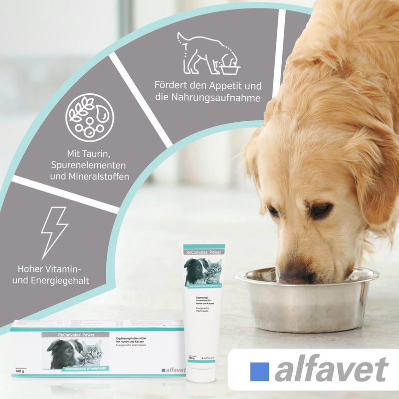 Alfavet ReConvales Power, supplementary food for dogs and cats, poplar paste for underweight, tube 140g 140 g single - BeesActive Australia
