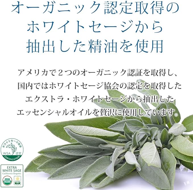 LUCAS White Sage Purifying Spray, Lucas/Smudging, Cleanser, Yoga and Meditation, (Amethyst: Healing, Restful Sleep / Lavender & White Sage Scent, 0.7 fl oz (20 ml), For on the Go) -  Australia