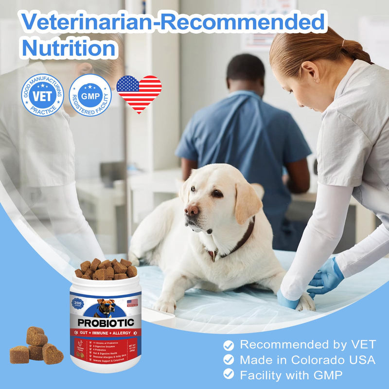 Probiotics for Dogs Gut Digestive Health Probiotic Chews for Dogs with 11 Billion CFUs, 4 Prebiotics, Pumpkin, Salmon Oil & Yogurt Base| Supports Gas, Yeast Balance & Immune, Dog Probiotics 200ct 0.06 Ounce (Pack of 200)