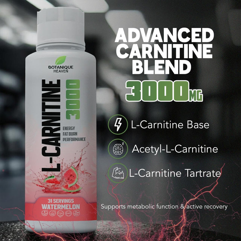L-Carnitine Liquid 3000mg Per Serving | High Strength Liquid Carnitine | Energy & Metabolism Support | 31 Servings | Sugar Free, Vegan | Watermelon