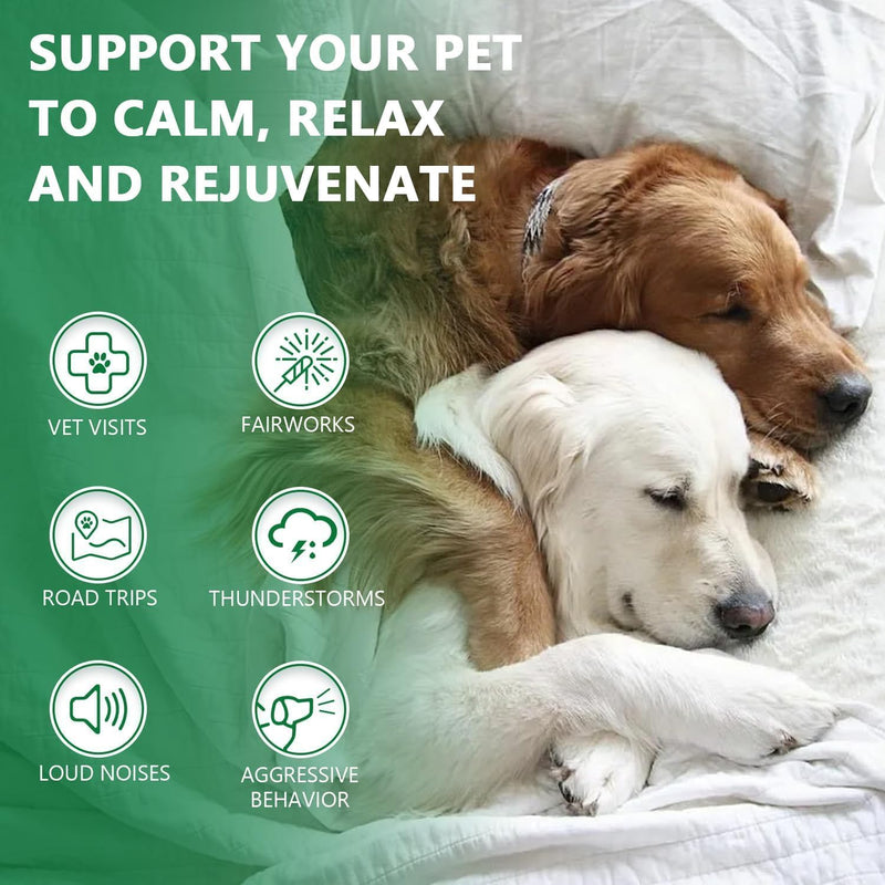 2 Pack Hemp Oil for Dogs and Cats - Anxiety Stress Sleep Allergies Arthritis Seizures Pain Relief - Promotes Skin Hip Joint Health - Calming Drops for Aggressive Pets 1 Fl Oz (Pack of 2)