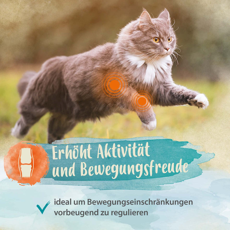 Ida Plus - 100% green-lipped mussel powder for cats - 100 g - green-lipped mussel to support joint function - full fat quality - without additives - with glycosaminoglycans, Omega 3, calcium, magnesium - BeesActive Australia