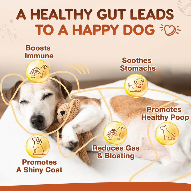 ZEBORA Probiotics for Dogs, Dog Probiotics, for Digestive Health, Plus Pumpkin and Fish Oil, for Gut & Itchy, 180 Soft Chews 180 Chews
