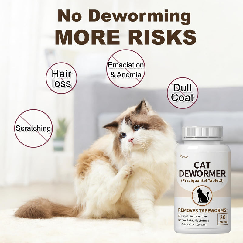 Tapeworm Dewormer for Cats & Kittens (6+ Weeks), Praziquantel Tablets, Tapeworm Treatment for Cats, Small & Easy to Administer, 20 Count