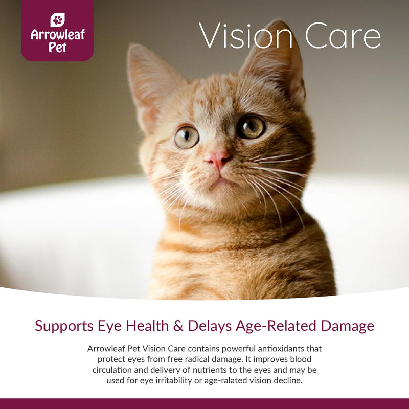 Vision Care by NaturPet Inc for Cats and Dogs | with Bilberry | Eye Support | 100mL Herbal Tincture - PawsPlanet Australia