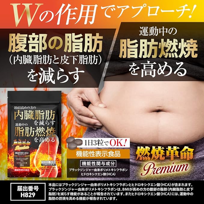 Burning Revolution Premium Reduce visceral fat Increase fat burning Diet Support Black Ginger HCA Supplement 30 days supply - BeesActive Australia