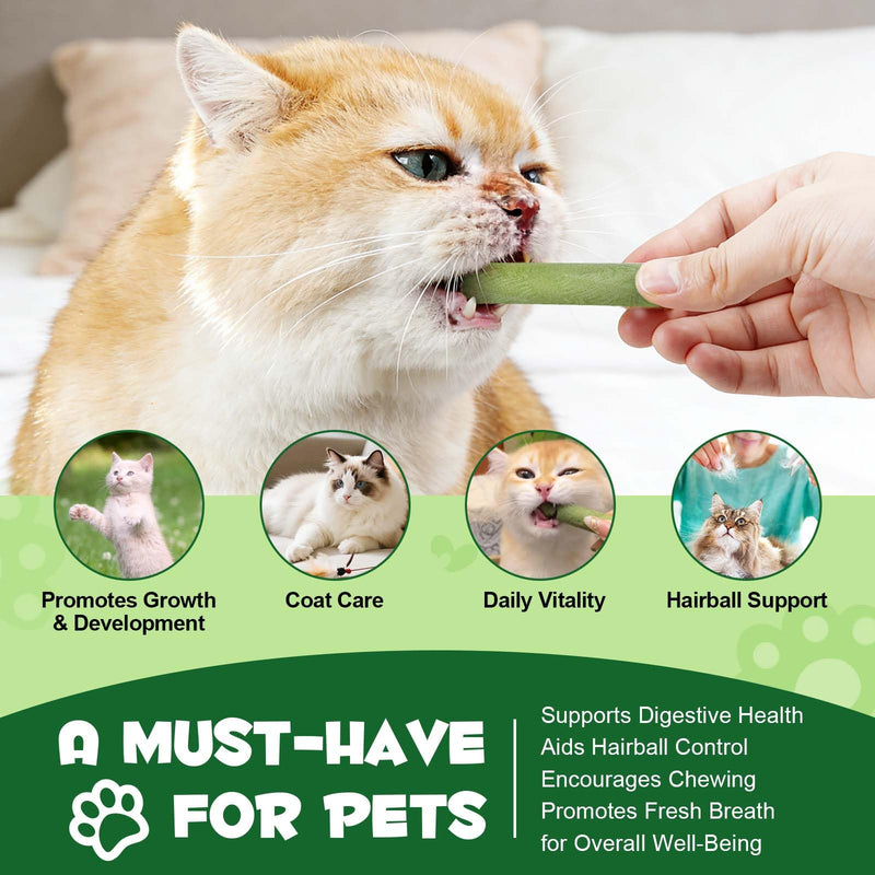 60g Cat Grass Stick, Freezed Dried Cat Grass Sticks Snacks for Teeth Cleaning and Hairball Removal, Natural Chicken Flavored 2.11 Ounce (Pack of 1)