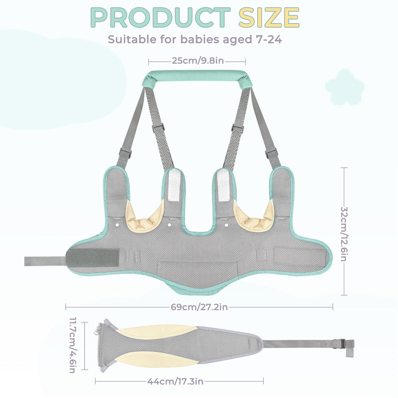 Baby Walking Harness, Handheld Baby Walking Helper for Toddlers with Detachable Crotch, Walk Support Assist Trainer Tool for 7-24 Month Old(Green) Green - BeesActive Australia