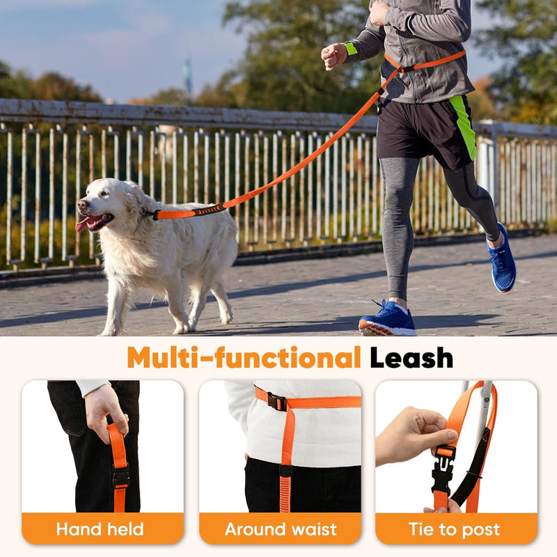 Petbobi Hands Free Dog Leash - Durable Bungee Leash with Padded Handles, Adjustable Waist Belt with Reflective Stitches for Running Walking Jogging Hiking, Fit for Small Medium Dogs, Orange, 5.5'-7' - BeesActive Australia