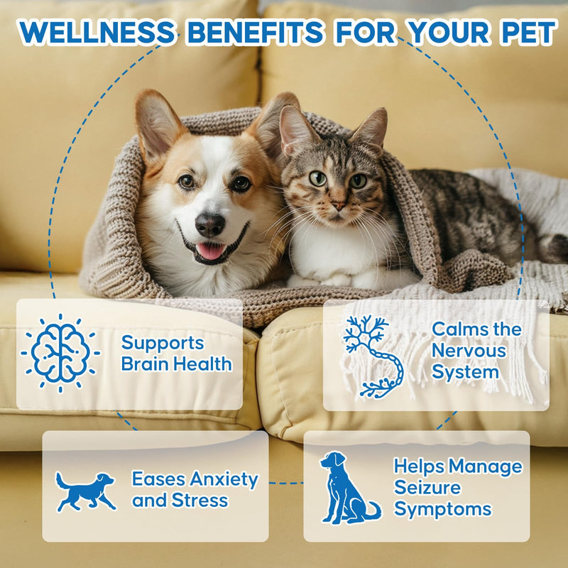 Yakucho Seizure Guardian for Dogs and Cats, Nervous System Support for Dogs and Cats, Supports Relaxation & Calm Behavior, Natural Herbal Formula, Easy to Use – 59 mL