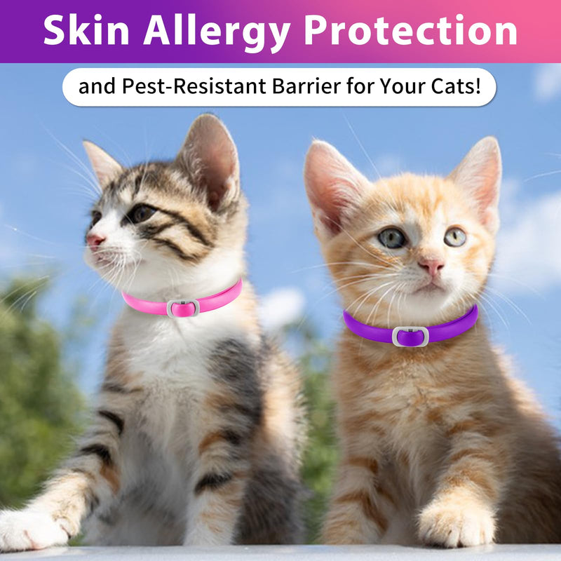 Flea collar for cats (4 pieces) - prevention of fleas and ticks for cats - flea collar - treatment of fleas - 24 months protection - BeesActive Australia