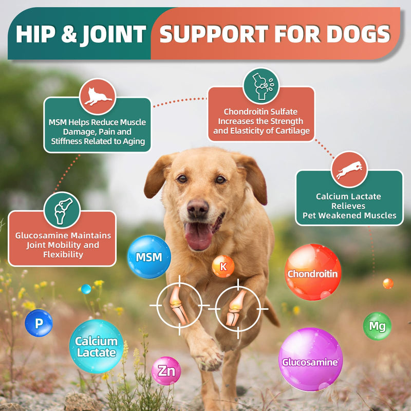 Dog Multivitamin with Glucosamine, Omega 3, Minerals, Probiotics and Enzymes, Dog Vitamins and Supplements for Joint, Skin & Coat Care, Digestive and Immune Health, Chicken Flavor - 120 Chews 120 count - PawsPlanet Australia