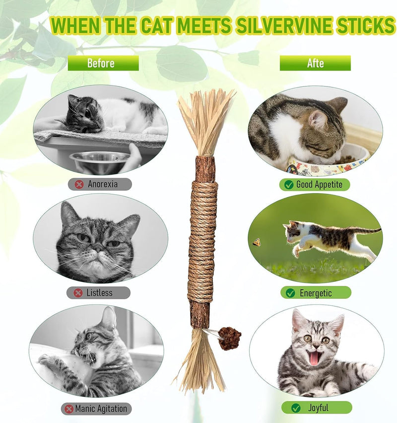 Catnip sticks, pack of 6 catnip sticks, chewing sticks for cats, cat dental care toys, dental chewing sticks help with tartar and bad breath, healthy hygiene dental care, brown - BeesActive Australia