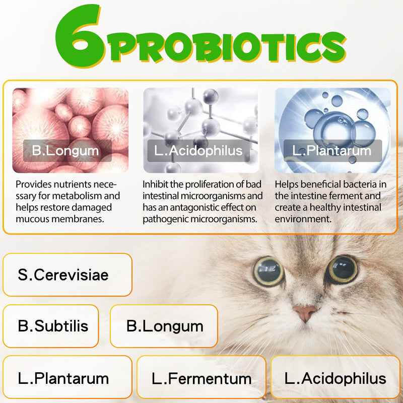 XAYGHE Constipation Treatment, Constipation for Cats, Laxative for Cats, Laxative with 6 Probiotic Supplements, Prevents Stool Buildup, Promotes Cat Intestinal Health, 60ml - BeesActive Australia