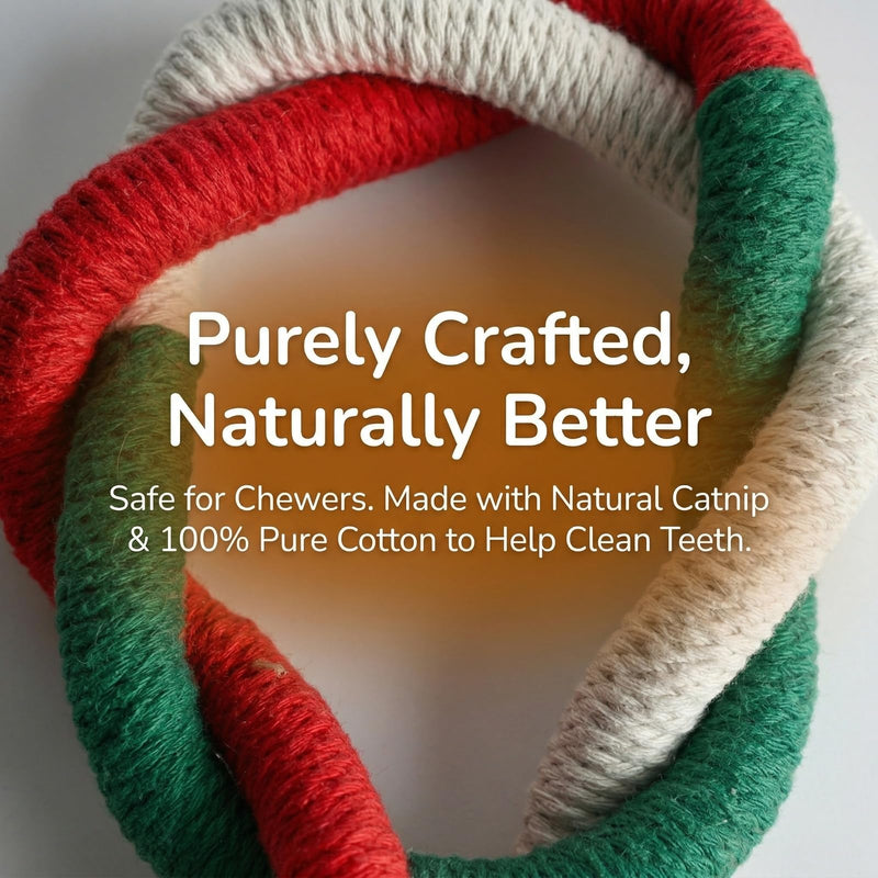 Zirax Catnip Toys for Indoor Cats, Natural Silvervine Sticks & Cotton Rope Cat Chew Toys, Interactive Kitten Teething Toys for Dental Health, Cleaning Teeth, Stress Relief & Boredom (Pack of 6)