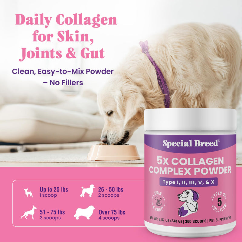 Premium 5X Collagen Powder for Dogs - Types I, II, III, V & X - Skin, Join, Gut & Coat Support - Collagen Powder with Bamboo & Vitamin C, 180 Scoops 8.57 oz 8.57 Ounce