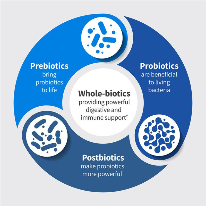 Garden of Life Dr. Formulated Microbiome Balance Probiotic, 50B CFU, 30ct | Pre, Pro & Postbiotics, 12 Probiotic Strains, Digestive Health, Immune Support, Non-GMO, Gluten-Free, Vegetarian
