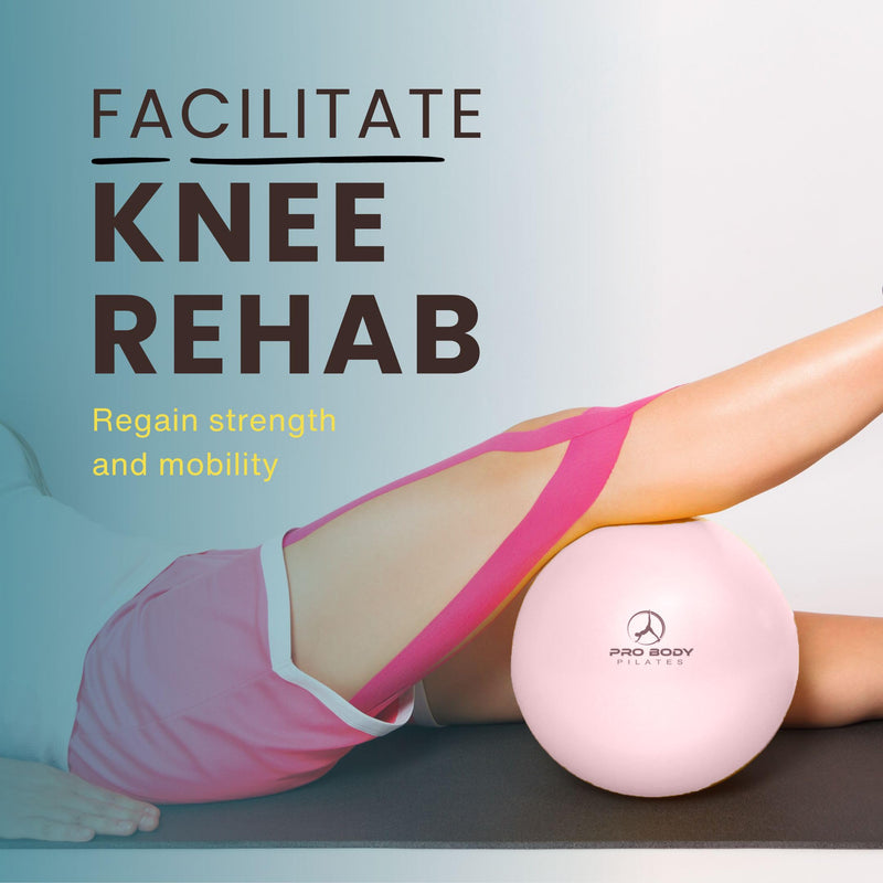 ProBody Pilates Exercise Balls Physical Therapy - 9 Inch Small Exercise Ball for Between Knees for Rehab, Barre, Core, Stability & Yoga Rose