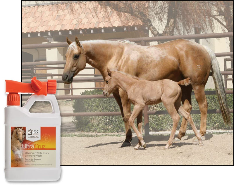 UltraCruz Veterinary Liniment Wash for Horses, 32 oz with Travel Spray - BeesActive Australia