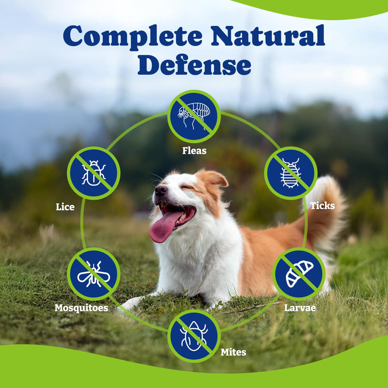 Flea & Tick Prevention for Dogs Chewables, Natural Dog Flea and Tick Control Treatment, Oral Flea Pills, Dogs Supplement, Natural Shield 5-in-1 Protection, Beef & Carrot Flavor, 180 Soft Chews Beef & Carrot-180-Blue