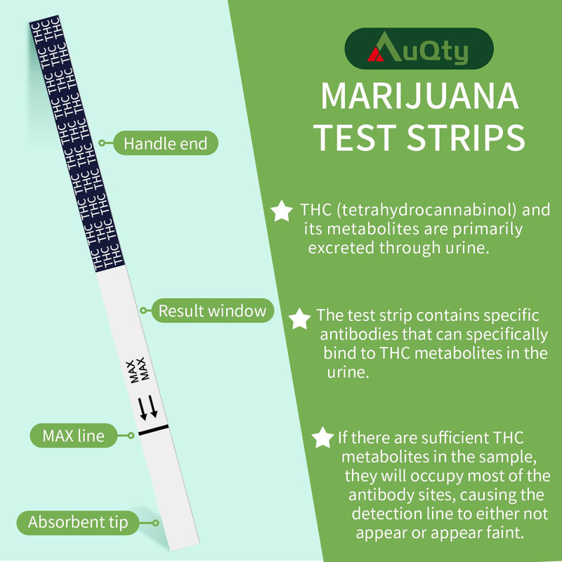 THC Tests for Home Drug Test Kit, Highly Sensitive Marijuana/Weed Urine Marijuana Drug Test, 50 ng/mL Cutoff Level (15 Count) 15 THC Strips - BeesActive Australia