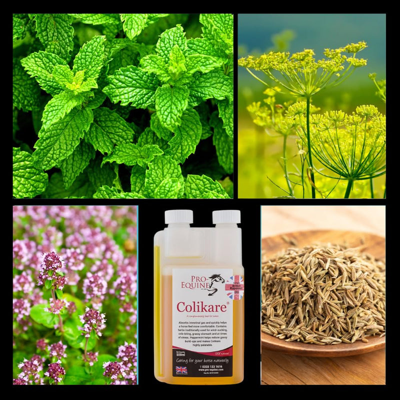Colikare horse colic supplement (500ml). Super fast action for uncomfortable gassy relief. Can be fed regularly or when required. Appetising peppermint taste.