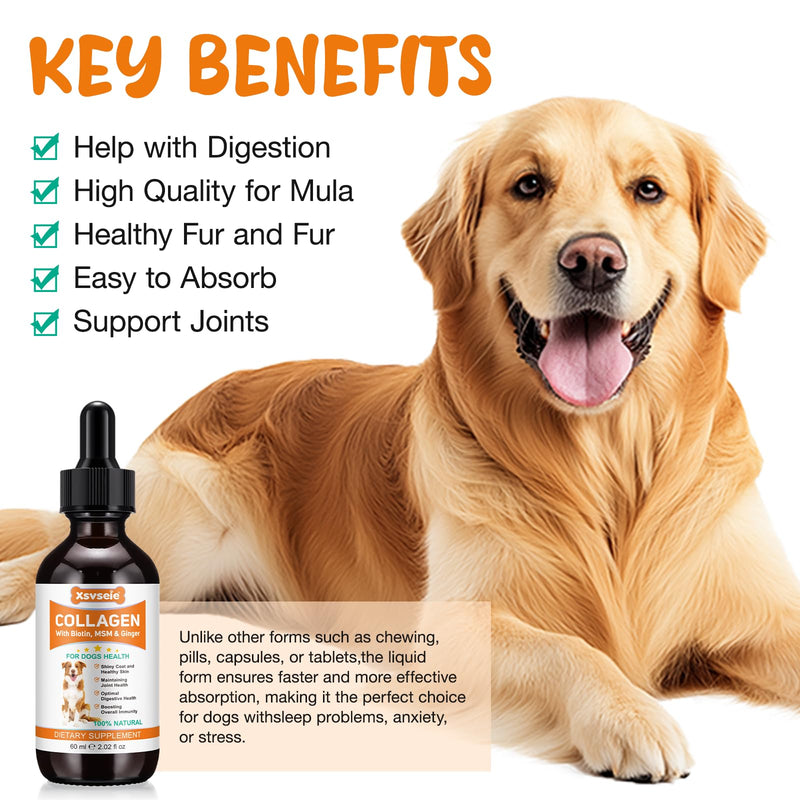 Liquid Collagen for Dogs 60ml - Supports Hip Flexibility,Collagen for Dogs - Skin Health & Itch Relief,Promotes Digestion, Immunity & Coat Vitality,Joint Supplement for Dog 1Pcs