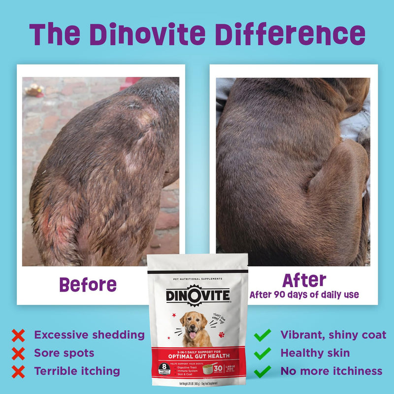 Dinovite Probiotics for Dogs, Probiotic Powder Food Topper for Small Dogs (1-18 lb), Daily Digestive Health & Skin Support with Omega-3s, 30 Servings Small Dogs (1-18 lbs) 30 Day Supply