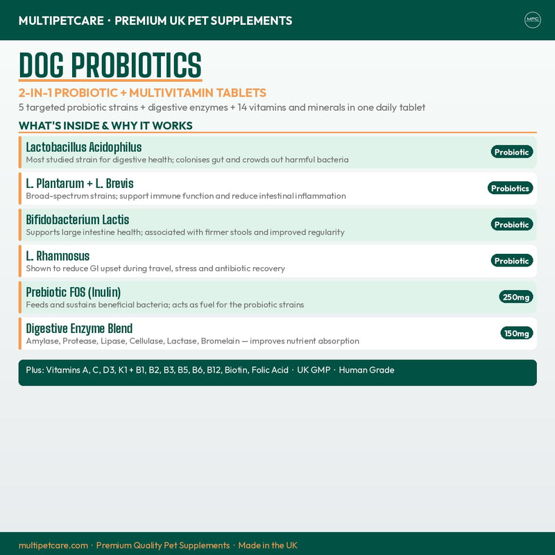 Probiotics for Dogs – 5-Strain 2 Billion CFU + Digestive Enzymes & Prebiotics | Gut Health, Firm Stools, Less Gas & Bloating | Full B-Complex Vitamins in One Tablet | Chicken Flavor | UK GMP | 120 Ct