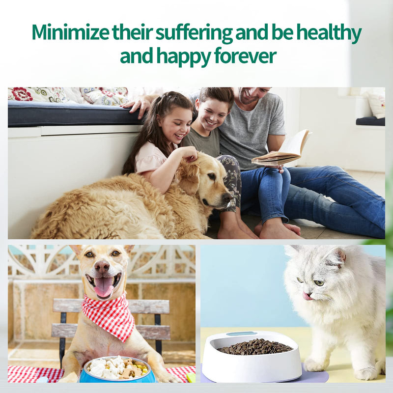 Tablet Feeder Tablet Divider Pet Medication Syringe Reusable Pet Pusher Syringe Tablet Dispenser for Cats Small Dogs - BeesActive Australia