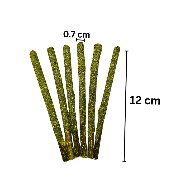 TheGuard Cat Grass Seeds Grow at Home Kit 5-Pack & Natural Wooden 6-Pack Catnip Sticks | Indoor Grass Seeds, Silvervine Matatabi Dental Chew Sticks for Indoor Pet Hairball Natural Chewer
