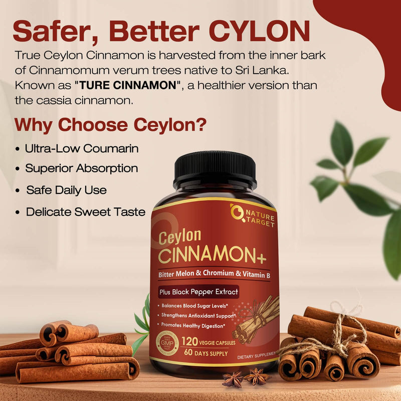 NATURE TARGET Ceylon Cinnamon for Energy & Digestion, 120 Capsules | 1000mg True Ceylon Cinnamon with Bitter Melon, Chromium, and B Vitamins, Supports Energy, Digestion, and Metabolism, Vegan 120 Count (Pack of 1)