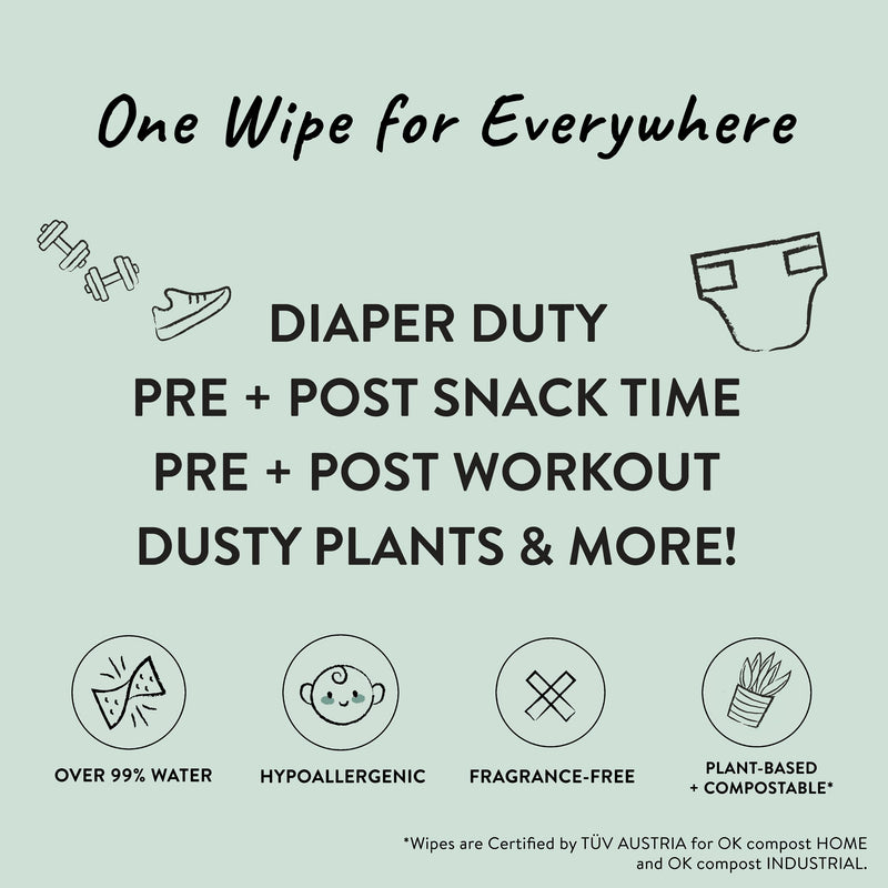 The Honest Company Clean Conscious Unscented Wipes | Over 99% Water, Compostable, Plant-Based, Baby Wipes | Hypoallergenic for Sensitive Skin, EWG Verified | Rainbow, 72 Count 72 Count (Pack of 1) - BeesActive Australia