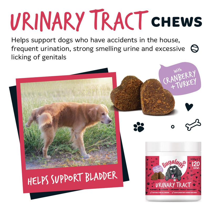 Bugalugs Urinary Tract Dog Chews helps stop dogs urinating in house & dog incontinence. supports UTI, Bladder & Kidney with Cranberry, D-Mannose & Marshmallow root. Grain free dog treats -120 chews