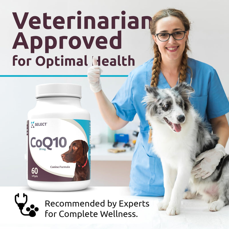 K9 Select CoQ10 Supplement for Dogs, 30mg - 60 Soft Gels per Bottle - Pet Supplement, Nutritional Softgels for Canine Heart Health, Cardiovascular & Gum Health, Energy - PawsPlanet Australia