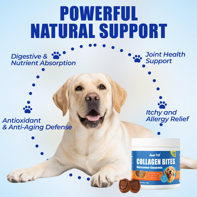 Just Try 8.82 OZ Collagen for Dogs Joint Pain Relief & Itchy Skin Allergy Relief Bites - Hydrolyzed Collagen Crunchy Chews with Glucosamine & Chondroitin for Hip & Joint Support Skin & Coat Health